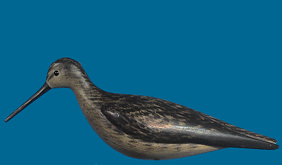 YELLOWLEG
