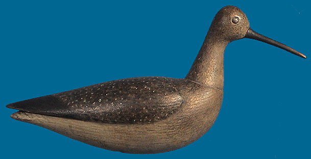 Large Willet