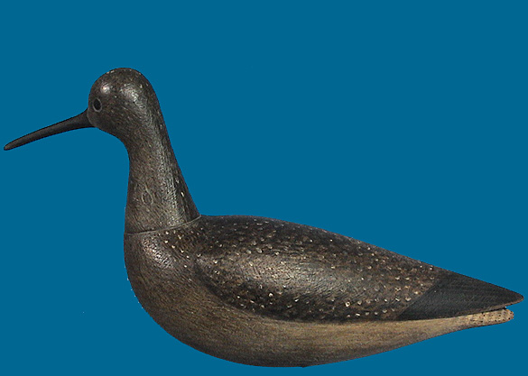 large Willet