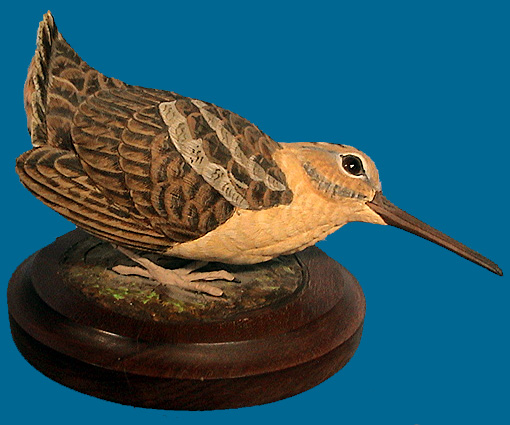 WOODCOCK