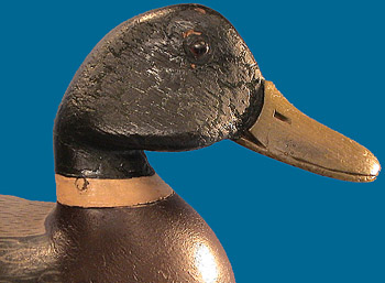 Caleb Ridgeway Marter Mallard drake head detail