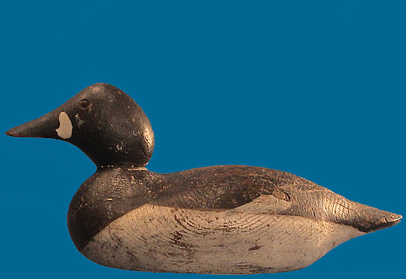 Rare possible one of a kind Immature Goldeneye drake, tackeye model