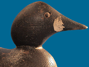 Rare possible one of a kind Immature Goldeneye drake, tackeye model